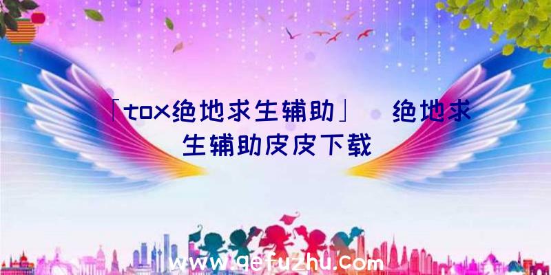 「tox绝地求生辅助」|绝地求生辅助皮皮下载